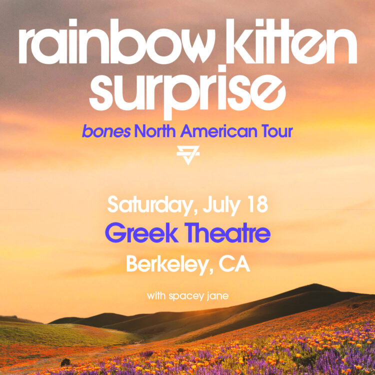 Rainbow Kitten Surprise